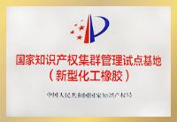 國家知識產權集群管理試點基地（新型化